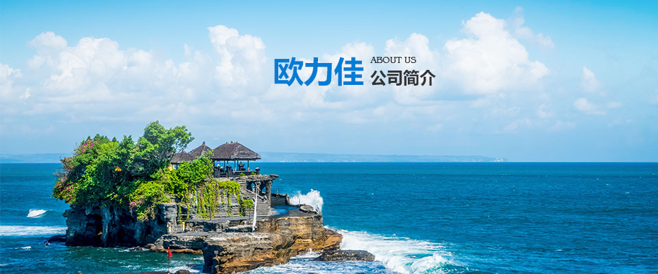 公司簡(jiǎn)介.jpg